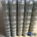 High Quality Direct Sale Galvanized Grassland Fence